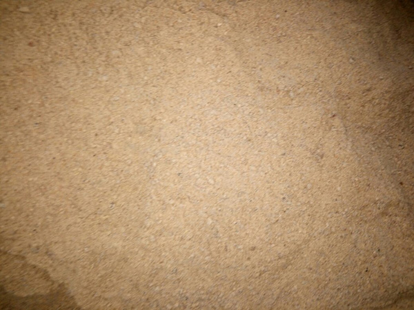 有機豆餅粉